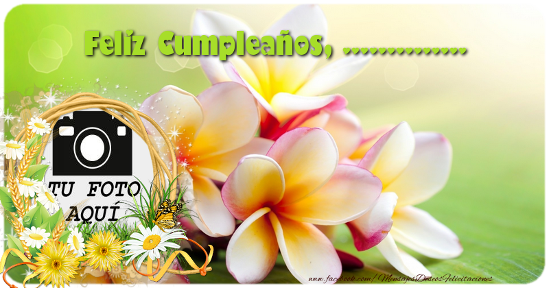 Felicitaciones De Cumpleaños Videos Originales