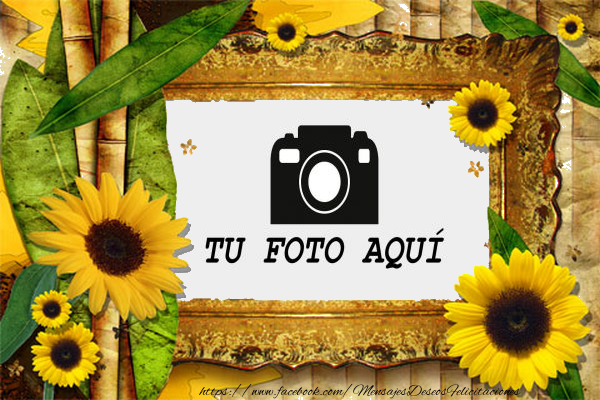 Personalizar imagen con fotos | Marco de la foto del girasol