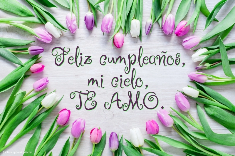Imágenes con Frases de Feliz Cumpleaños Novia: Tulipanes