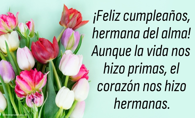 Imágenes con Frases de Feliz Cumpleaños Prima: Tulipanes